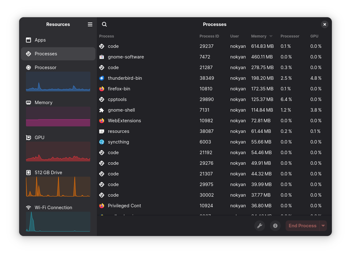 Processes View